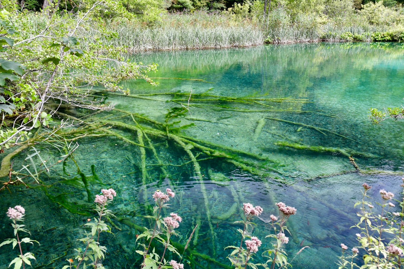 Plitvice